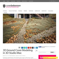 3D Ground Cover Modeling in 3D Studio Max