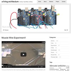 A Living Architecture» Blog Archive » Muscle Wire Experiment1