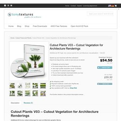 Cutout Plants V03 – Cutout Vegetation for Architecture Renderings » tonytextures.com