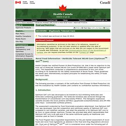 ARCHIVED - Herbicide Tolerant 98140 Corn (Optimum GAT Corn) - Novel Food Information - Health Canada