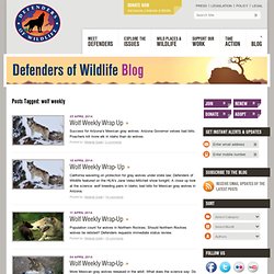 Defenders of Wildlife Blog
