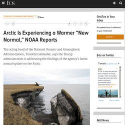 Arctic Is Experiencing a Warmer “New Normal,” NOAA Reports