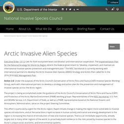 Arctic Invasive Alien Species