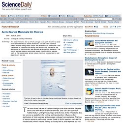 Arctic Marine Mammals On Thin Ice
