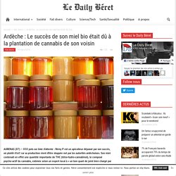 Ardèche : Le succès de son miel bio était dû à la plantation de cannabis de son voisin