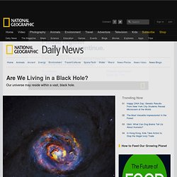 Are We Living in a Black Hole?