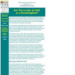 Are You a Lark, an Owl, or a Hummingbird?