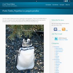 Punta Tombo, Argentina is a penguin paradise