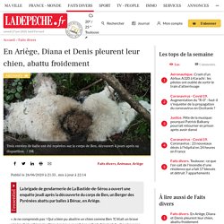 En Ariège, Diana et Denis pleurent leur chien, abattu froidement