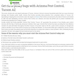 Arizona Pest Control, Tucson AZ Services Near Me