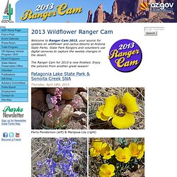 Arizona State Parks: 2012 Ranger Cam