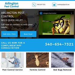 Affordable Wasps Removal Company Near Me in Arlington County VA
