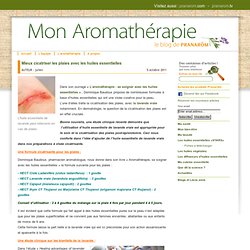 Mon aromatherapieMieux cicatriser les plaies avec les huiles essentielles