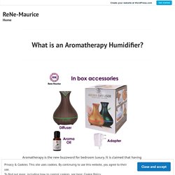What is an Aromatherapy Humidifier? – ReNe-Maurice