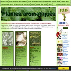 plantes aromatiques bio: plantes condimentaires: plantes médicinales: page numéro un