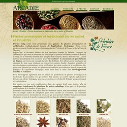 Plantes aromatiques et médicinales bio en sachet et infusettes