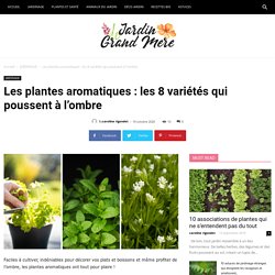 Les plantes aromatiques : les 8 variétés qui poussent à l'ombre - Jardin de Grand Meres