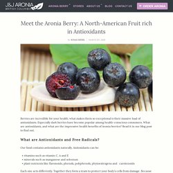 Meet the Aronia Berry: A North-American Fruit rich in Antioxidants