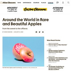 Around the World in Rare and Beautiful Apples