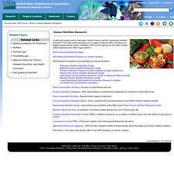 Human Nutrition Research
