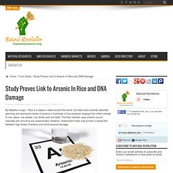 Study Proves Link to Arsenic In Rice and DNA Damage