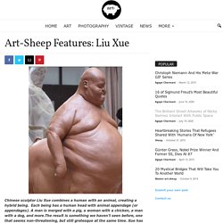 Features: Liu Xue - Art-Sheep