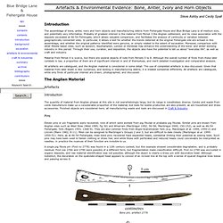 artefact & environmental: bone, antler & horn-working