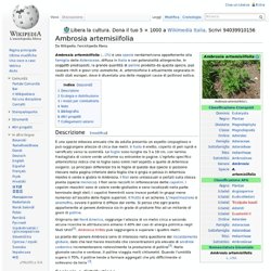Ambrosia artemsifolia wikipedia