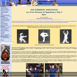 Las Artes Hermanas de Baguazhang y Xing Yi Quan