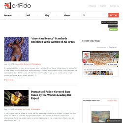 artFido's Blog
