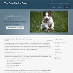 Arthritis in Dogs - Top Tips and Treatments - The Care Canine Group