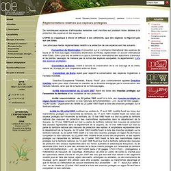 Espèces Protégées Arthropodes Terrestres Insectes
