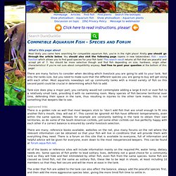 Article About Compatible Aquarium Fish With Forum