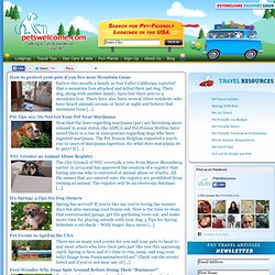 Dog, Cat & Other Pet Friendly Hotels at Petswelcome.com