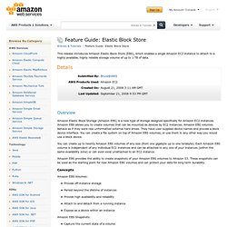 Amazon Web Services Developer Connection : Feature Guide: Elasti