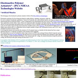 Artificial Muscles and Electroactive Polymers at JPL
