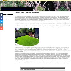 Artificial Grass - The Good and the Bad