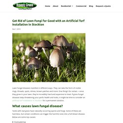 Solve Lawn Fungi Issues with an Artificial Turf Installation in Stockton