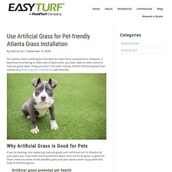 Why You Should Use Artificial Grass for a Pet-friendly Atlanta Grass Installation