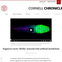 Engineers create ‘lifelike’ material with artificial metabolism