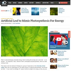 Artificial Leaf to Mimic Photosynthesis For Energy