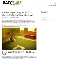 Creative Ways of Using Pet Artificial Grass in Portland Without a Backyard