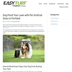 How Pet Artificial Grass in Portland Protects Your Lawn from Damage