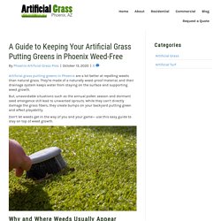 How to Stop Weed Growth on Artificial Grass Putting Greens in Phoenix