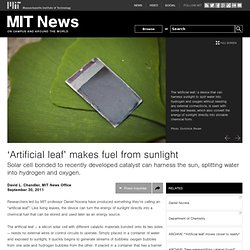 ‘Artificial leaf’ makes fuel from sunlight