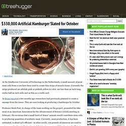 $330,000 Artificial Hamburger Slated for October