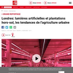 RFI 21/01/20 Londres: lumières artificielles et plantations hors-sol, les tendances de l’agriculture urbaine