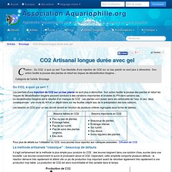 Association Aquariophilie.org - CO2 Artisanal longue durée avec