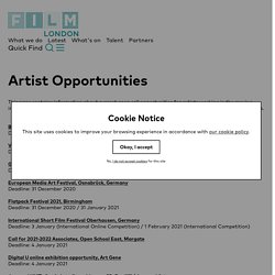 Artist Opportunities