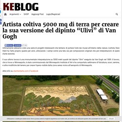 Artista coltiva 5000 mq di terra per creare la sua versione del dipinto “Ulivi” di Van Gogh